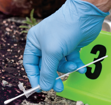 Law Enforcement - CSI