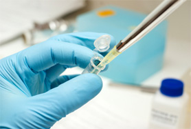 Laboratory